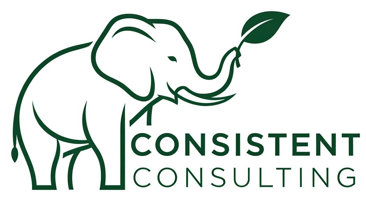 Consistent Consulting